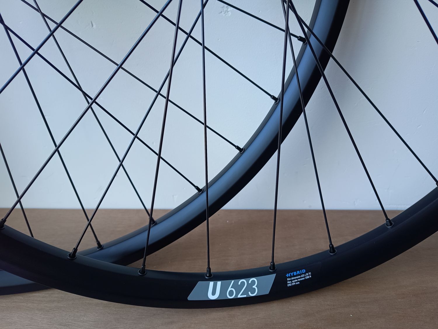 Wielset E-Bike met Shimano naven en DT Swiss velgen - Afbeelding 4